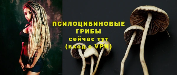 синтетический гашиш Осинники