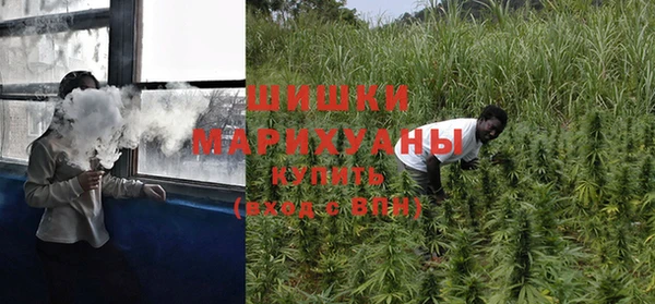 ГАЛЛЮЦИНОГЕННЫЕ ГРИБЫ Остров