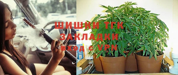 ГАЛЛЮЦИНОГЕННЫЕ ГРИБЫ Остров