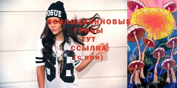 ГАЛЛЮЦИНОГЕННЫЕ ГРИБЫ Остров