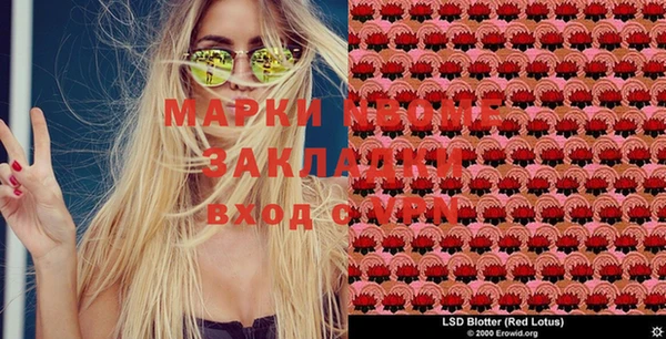 ГАЛЛЮЦИНОГЕННЫЕ ГРИБЫ Остров