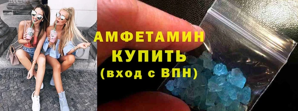 индика Дмитриев