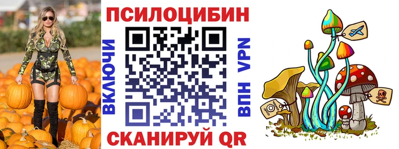Псилоцибиновые грибы MAGIC MUSHROOMS  купить наркотик  OMG вход  Краснокамск 