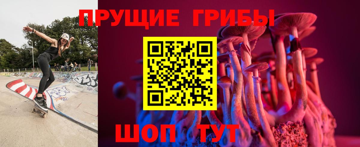 Галлюциногенные грибы GOLDEN TEACHER Краснокамск
