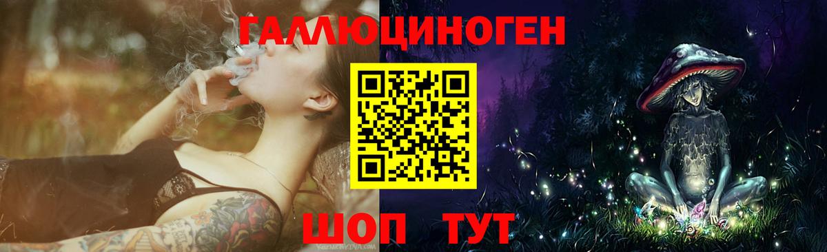 Псилоцибиновые грибы Psilocybe Краснокамск